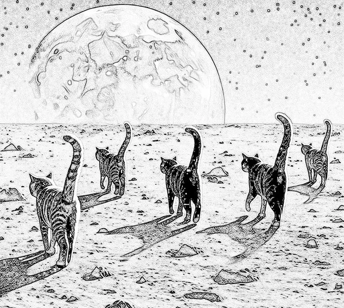 Five cats on the moon: Tsuki's pencil sketch